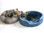 Me and Alex in our favorite beds from DesignerPetBeds.com