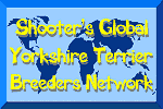 Shooter's Yorkie Breeders Network