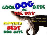 Dogmark cool DOG site of the Month Award