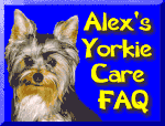 Alex and Terri's Yorkie Care FAQ