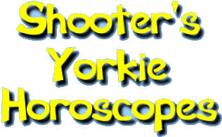 Shooter's Yorkie Horoscopes