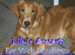 Lily's Award for Web Excellence