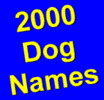 2000 Names