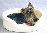 My new bed from DesignerPetBeds.com