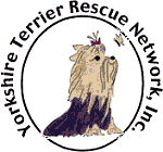 Yorkshire Terrier Rescue